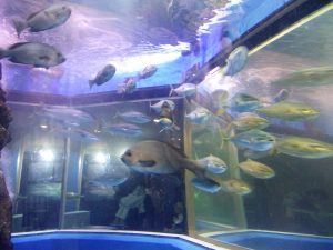 IMG_20170504_102618