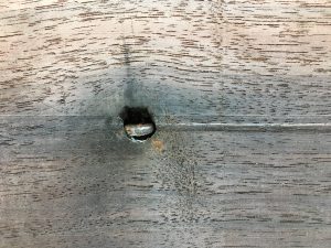 IMG_0559