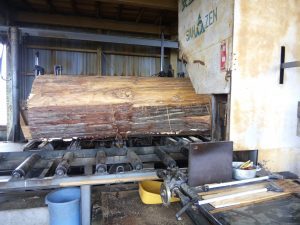 IMG_20170621_082914