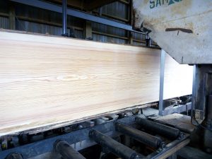 IMG_20170621_091324